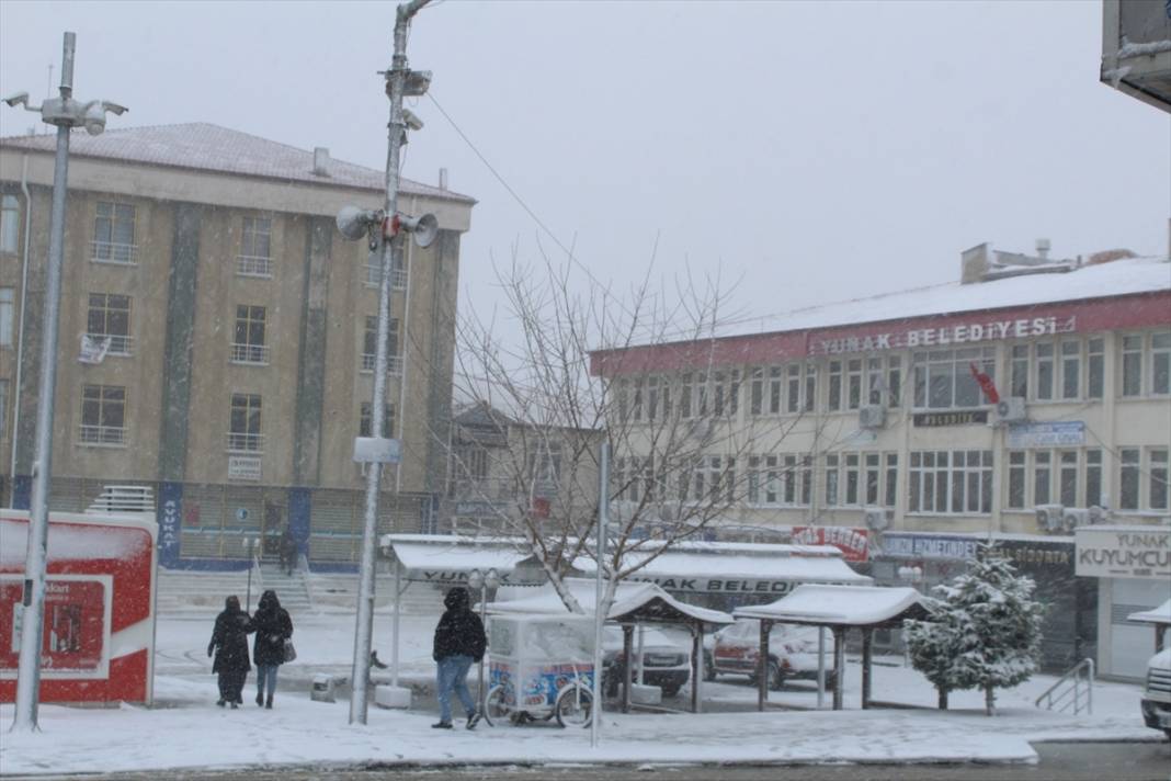 Konya’da çiçek açan ağaçları beyaz örtü kapladı 2